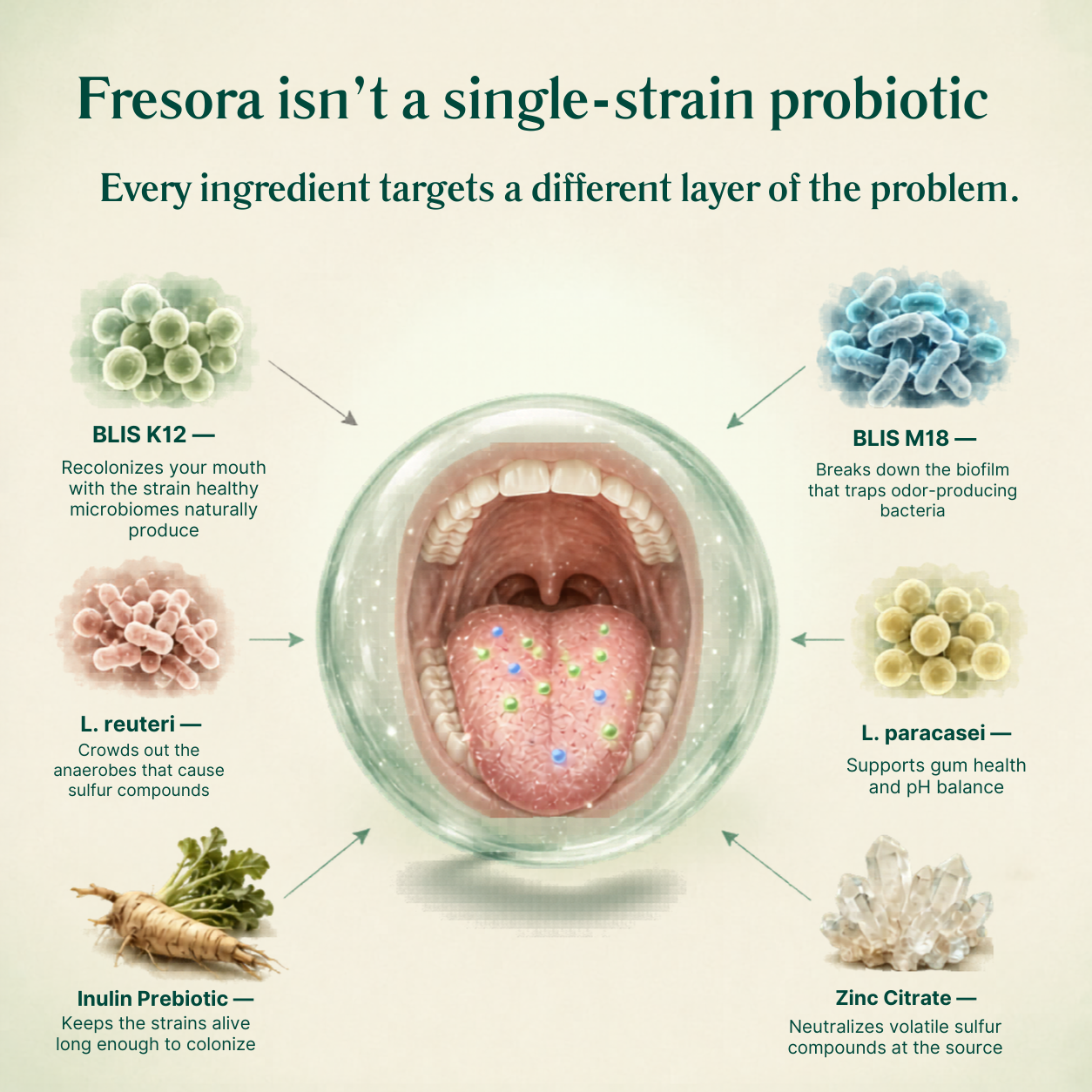 OS-01® Oral Probiotics